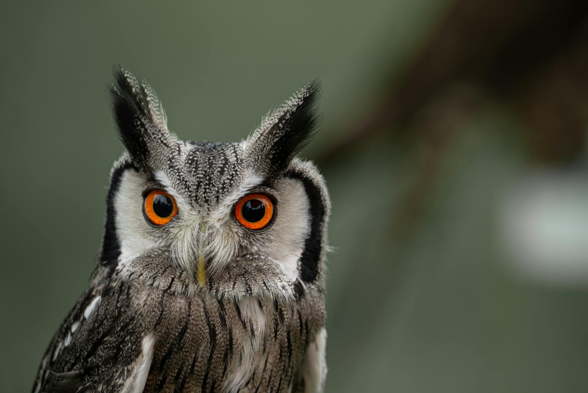 Włocławek: LGD przyznała pierwsze granty dla mieszkańców